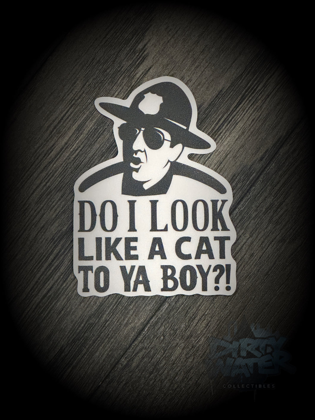 Do I look like a cat to ya boy?! Decal!